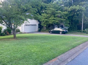 Juanita C.'s grass maintenance service result