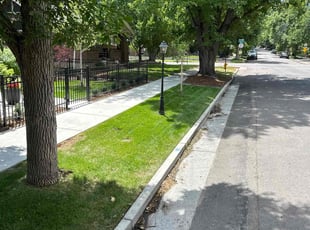 Allison R.'s lawn service service result