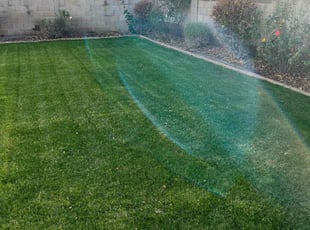 Gail H.'s lawn maintenance service result