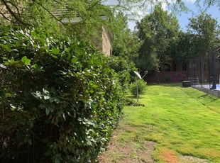 Sherry F.'s Bush Trimming service result
