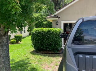 Kristin S.'s Bush Trimming service result