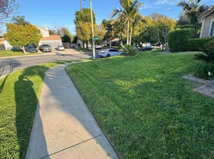 Rosemary G.'s grass maintenance service result