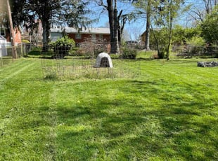Jonathan H.'s lawn care service result