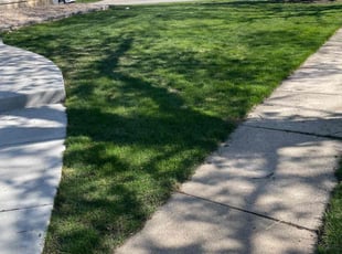 David H.'s lawn care services service result