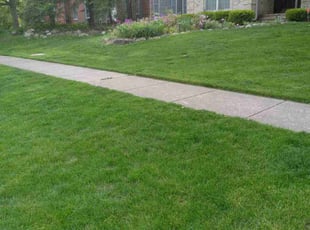 Heidi N.'s lawn service service result