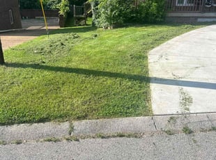 Pa Y.'s lawn care service result