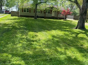 Shayn J.'s turf maintenance service result