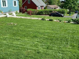 Pam A.'s turf care service result