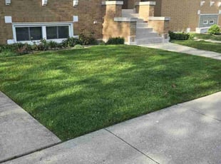 Kwame G.'s lawn service service result