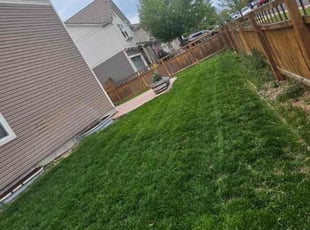 Audrey O.'s grass maintenance service result