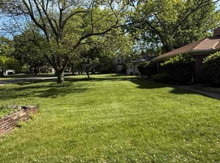 Eely M.'s grass cutting service result
