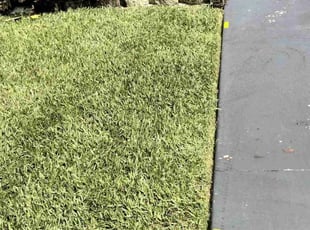 TONY G.'s grass maintenance service result