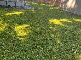 Charles C.'s Leaf Removal service result