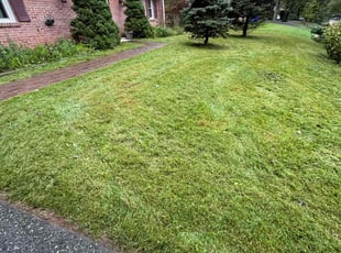 Stephen R.'s turf maintenance service result