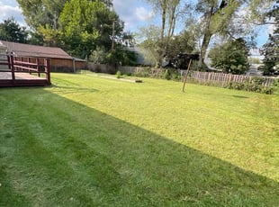 Randy G.'s turf care service result