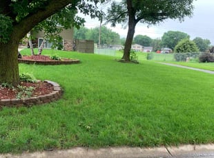 Jason K.'s lawn care services service result