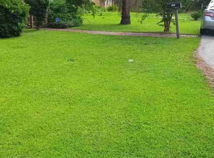 Jonee M.'s turf maintenance service result