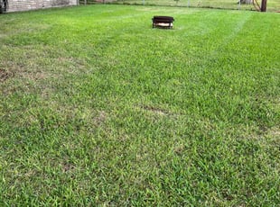 Robert W.'s turf maintenance service result