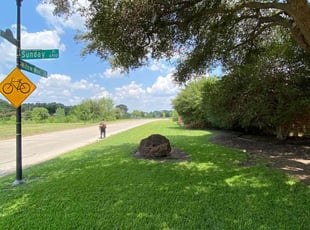 Kaleab W.'s lawn care service result