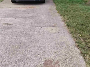 Bryant M.'s turf care service result