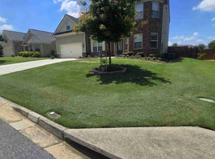 Jim D.'s lawn care service result