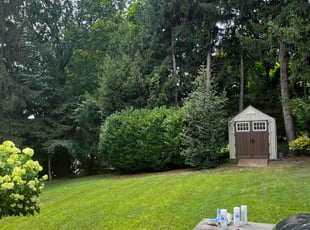 Ashlee R.'s grass maintenance service result