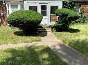 Eugene S.'s Bush Trimming service result