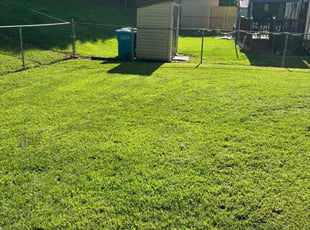 Rhonda M.'s turf maintenance service result