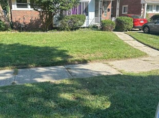 Nicholas W.'s lawn care services service result