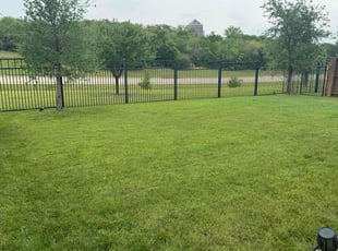 Kent W.'s turf care service result