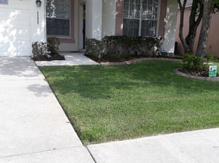 Katherine D.'s Bush Trimming service result