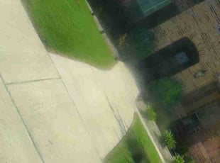 Brittany C.'s lawn care services service result