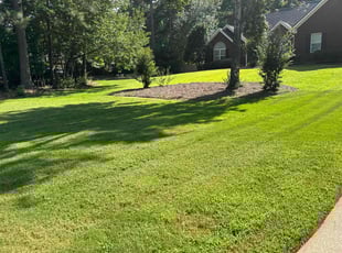 Tyiese W.'s lawn service service result