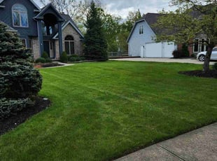 Adriana L.'s lawn service service result