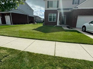 Shawn L.'s lawn maintenance service result