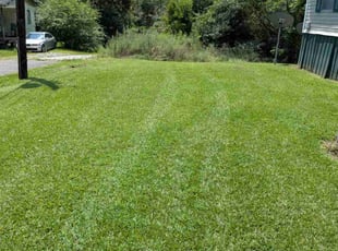 Jacki G.'s turf care service result