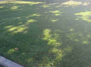 John M.'s lawn service service result