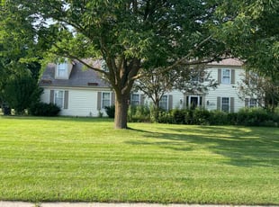 Stacy E.'s turf care service result