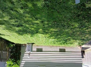 Sara M.'s residential landscaping service result