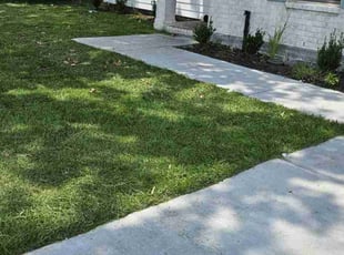 Brandon K.'s turf maintenance service result
