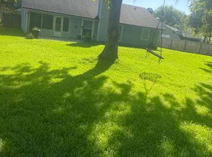 Stacey R.'s turf care service result