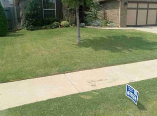 Kaleb B.'s grass maintenance service result