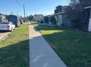 Muthu S.'s grass maintenance service result