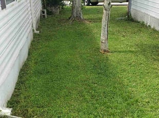 Belinda E.'s turf care service result