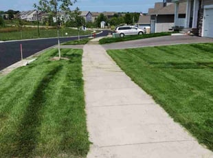 Audrey T.'s grass maintenance service result