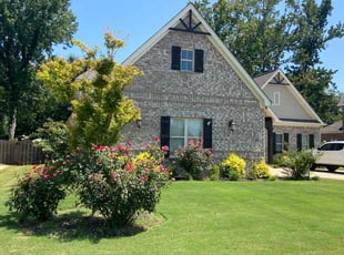 Paul W.'s turf care service result