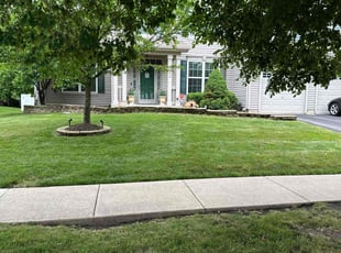 Muaaviya M.'s turf care service result