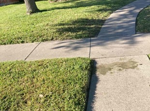 Tyler H.'s grass cutting service result