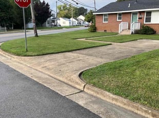 Dj D.'s turf care service result