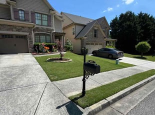 Kenneth P.'s turf care service result